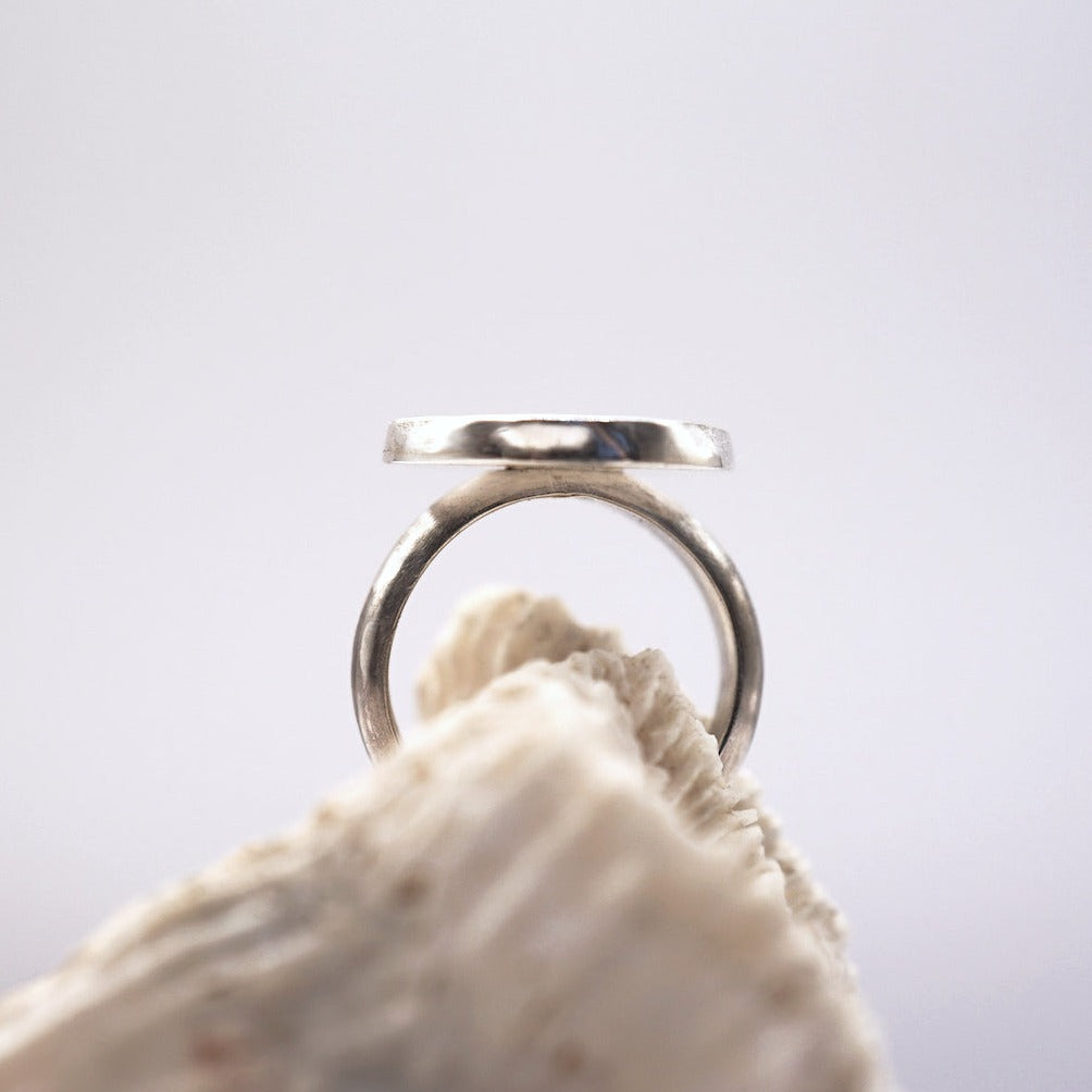 Bronze Roman Coin Silver Ring, Badger's Velvet