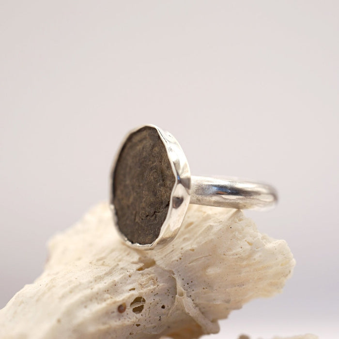 Bronze Roman Coin Silver Ring, Badger's Velvet