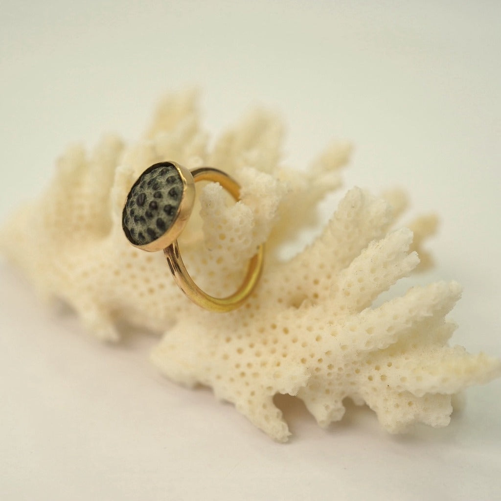 Bronze and gold ring, Badgers Velvet