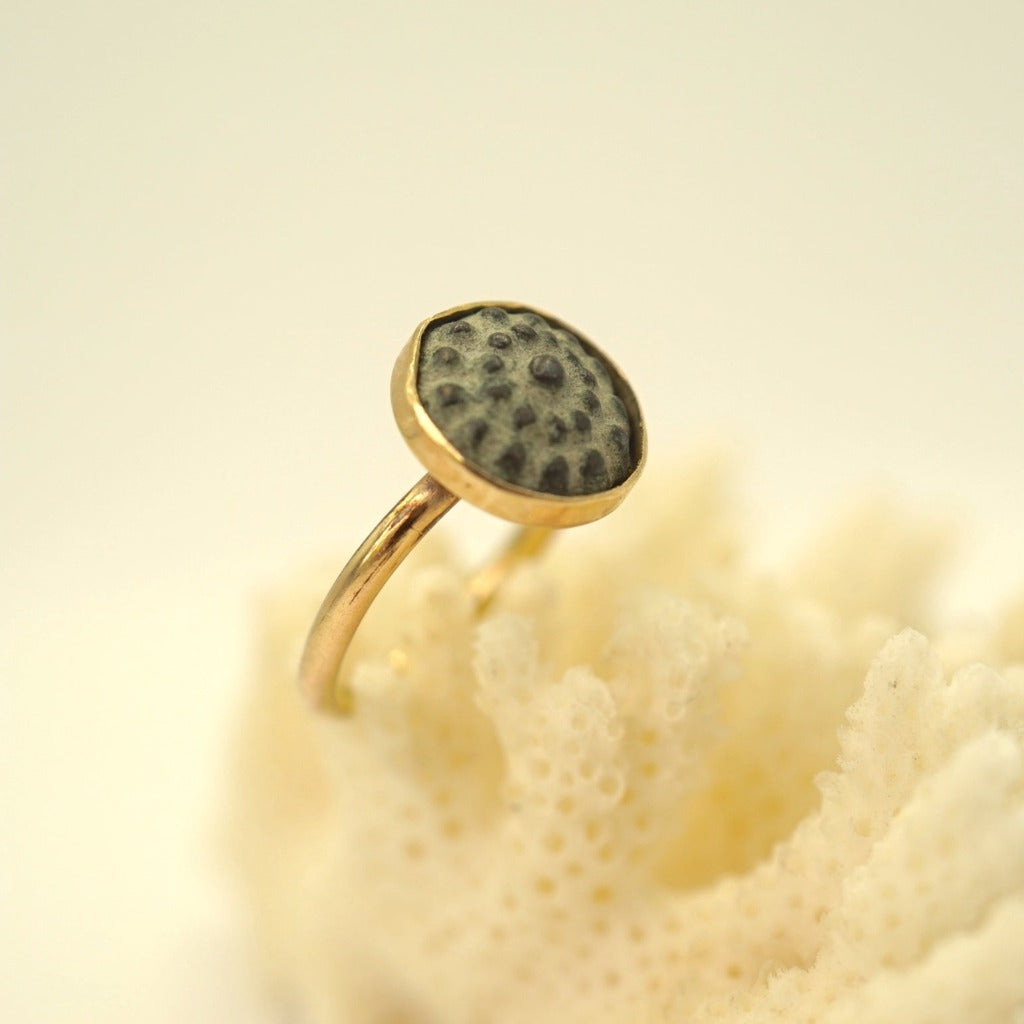 Bronze and gold ring, Badgers Velvet