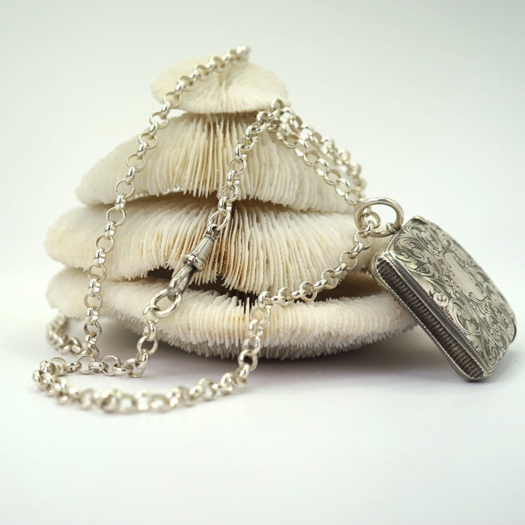 Victorian Silver Match Case and Chain Necklace