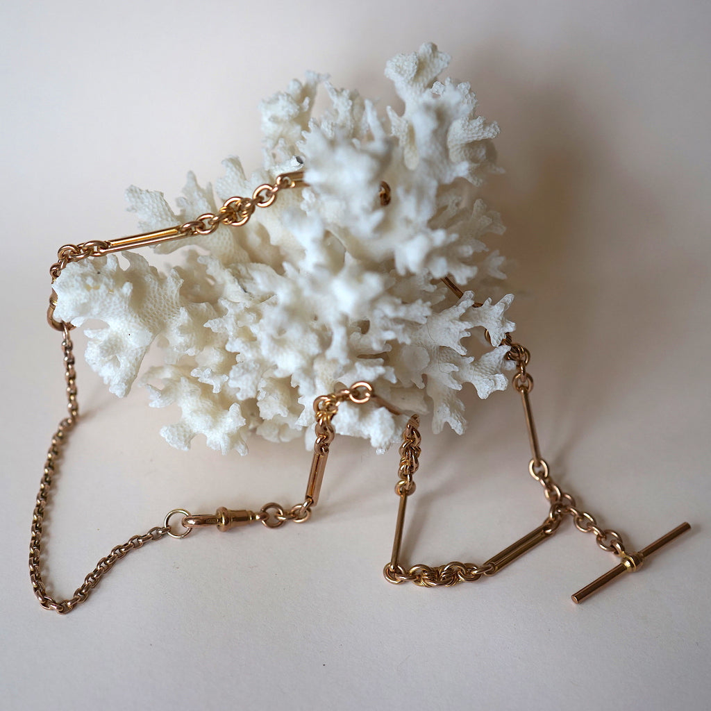 Victorian Trombone and Belcher Watch Chain Necklace