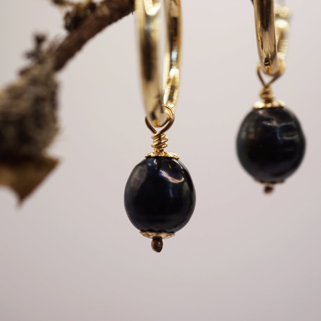 9ct Gold hoop and black pearl earrings