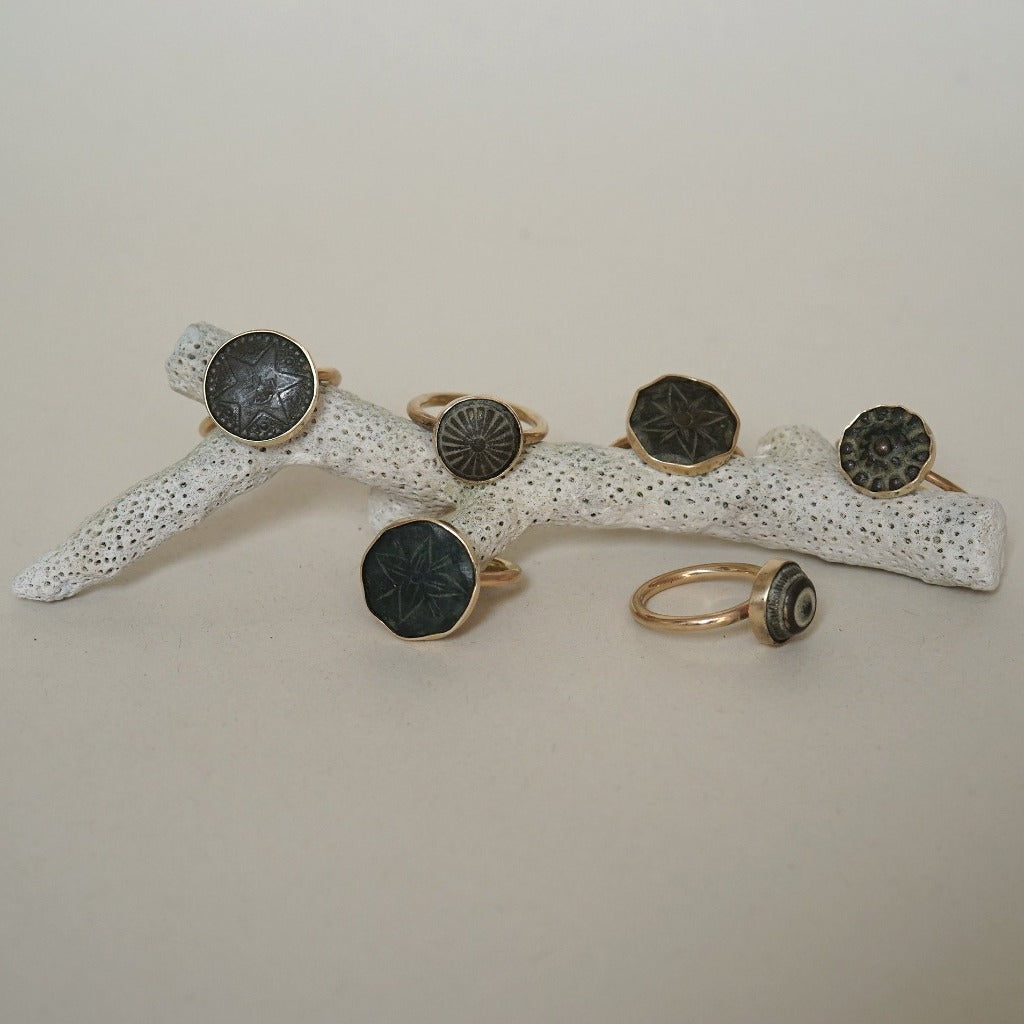 Gold and Bronze Antique Rings Badgers Velvet