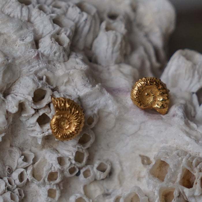 Gold ammonite earrings, 22ct gold on silver, handmade shell earrings.