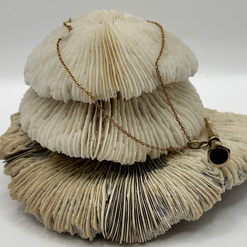 9ct Gold Victorian Trombone watch winder and chain, Badger's Velvet