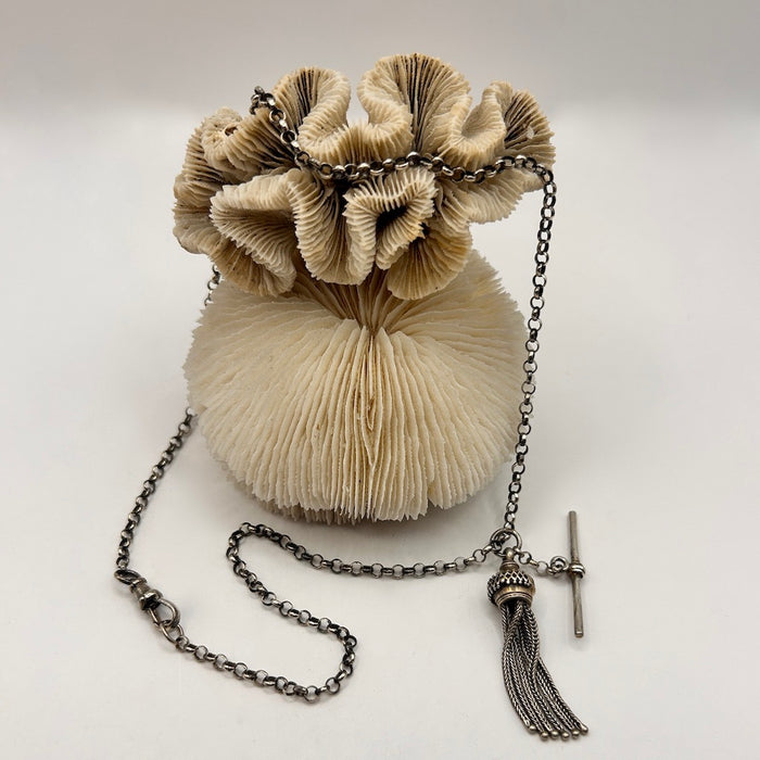 Silver Tassle and T Bar Albertina Necklace