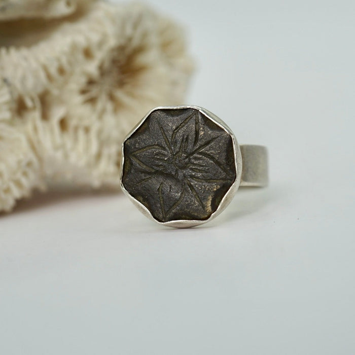 Bronze and silver ring
