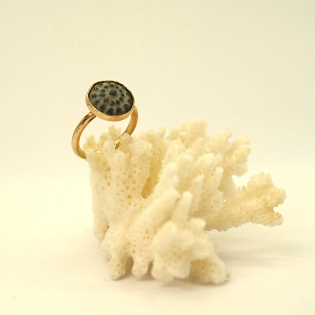 Gold and Antique Bronze Circle Ring