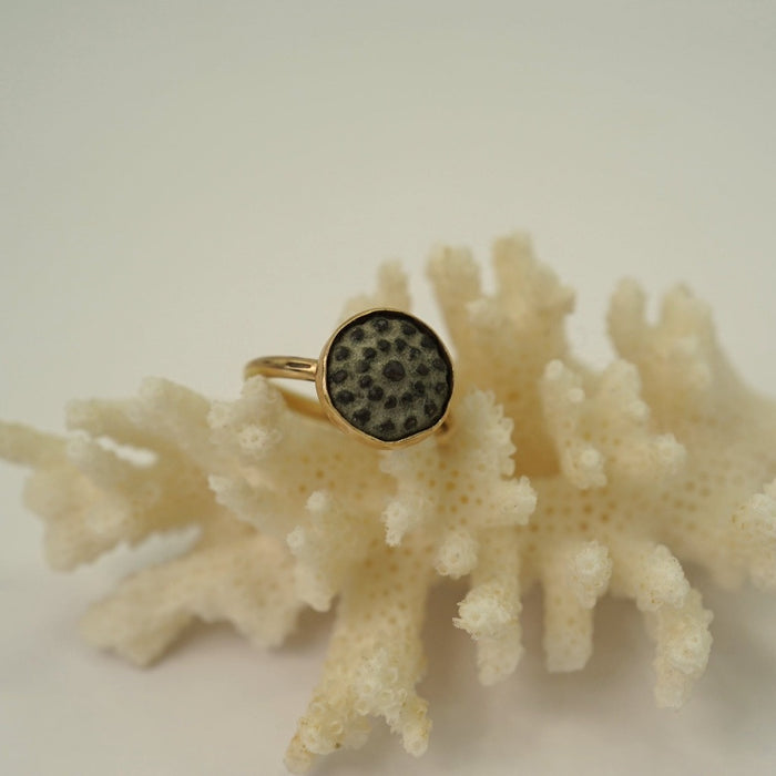 A gold ring with a bronze circular button inset displayed on a coral-like surface