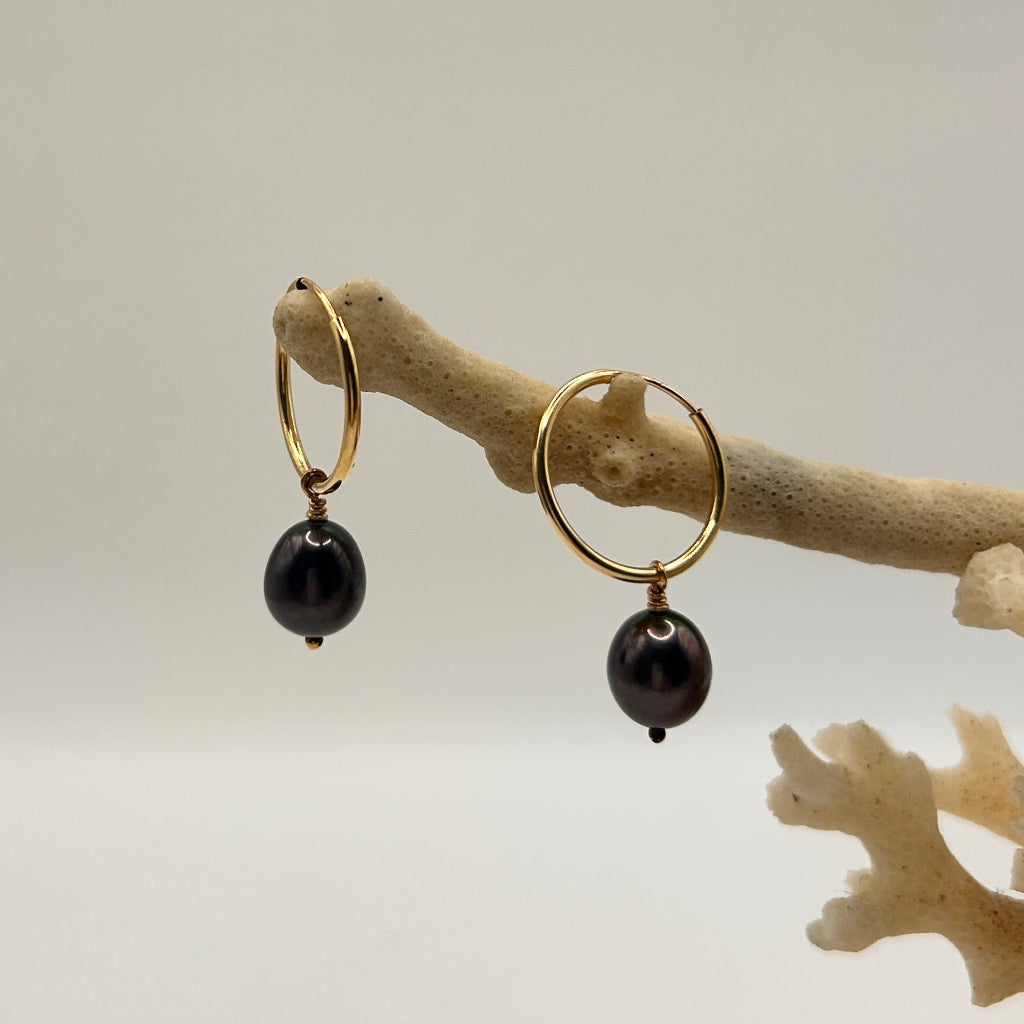 Gold hoop earrings with black beads on a branch against a neutral background