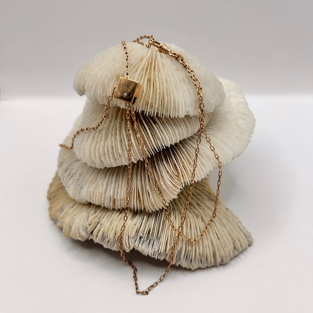 Victorian Chain and Slider Guard Chain