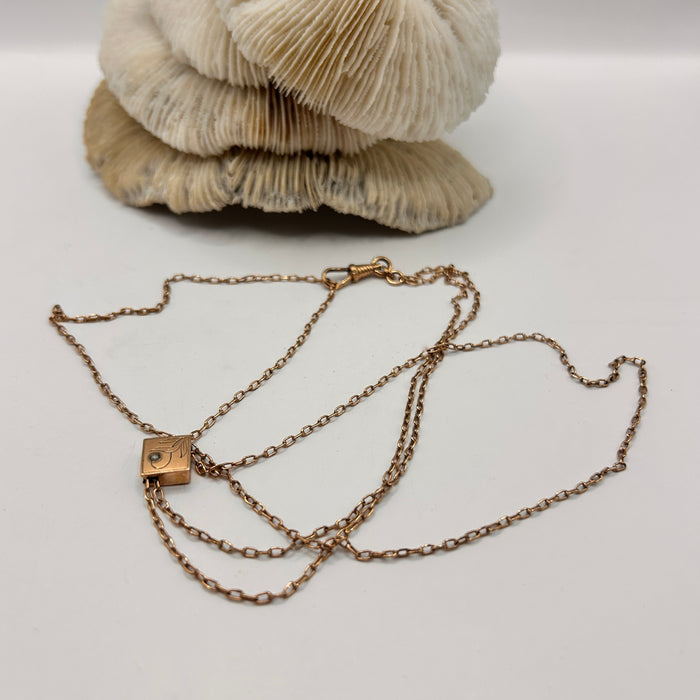 Victorian Chain and Slider Guard Chain