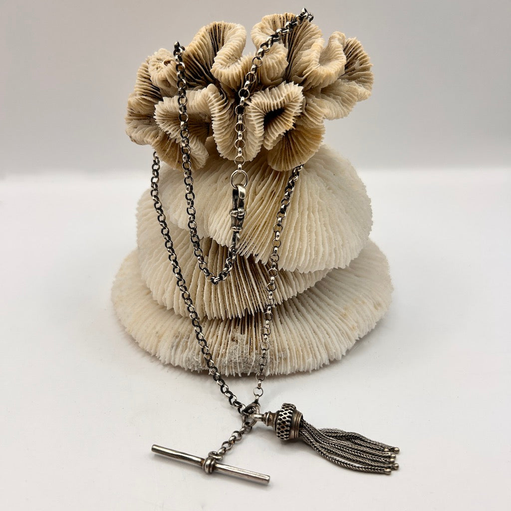 Silver Tassle and T Bar Albertina Necklace