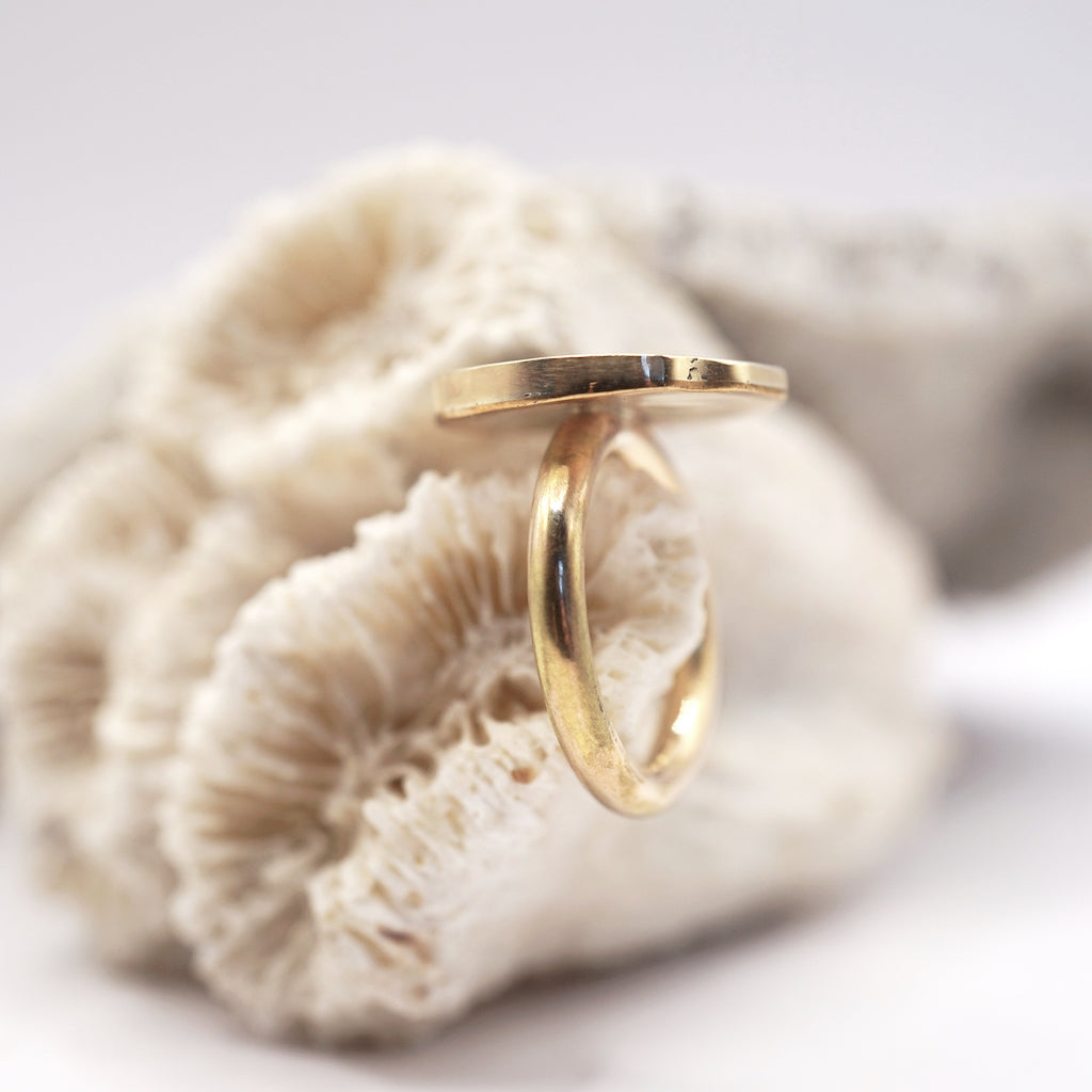 Roman Coin Gold Ring, Badger's Velvet