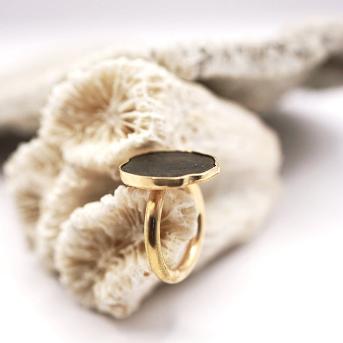 Roman Coin Gold Ring, Badger's Velvet