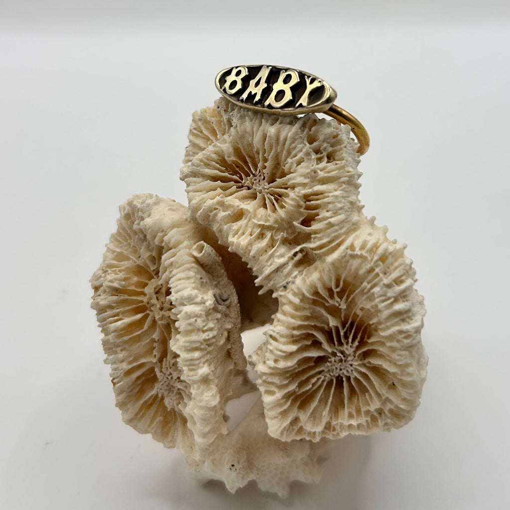 Silver and Gold Baby Ring Badgers Velvet