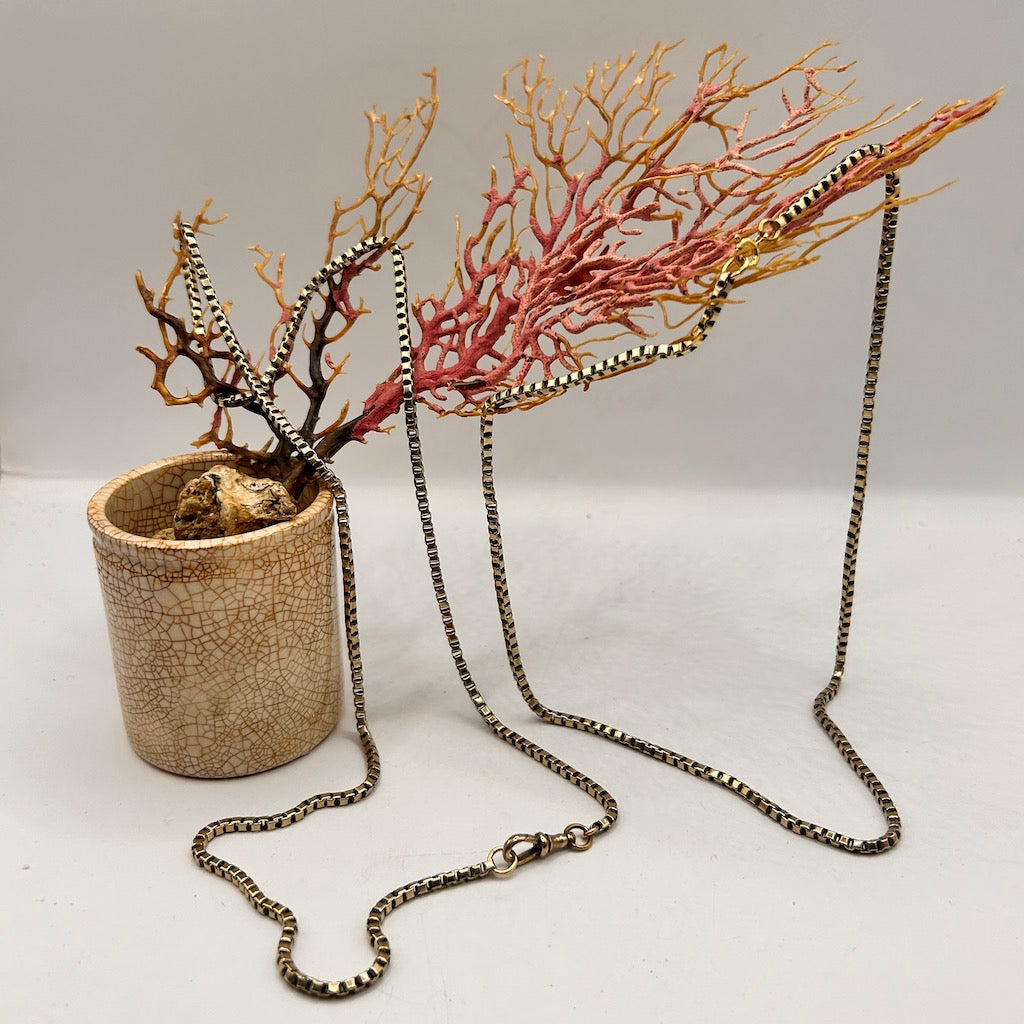 Victorian Box Link Guard Chain Necklace