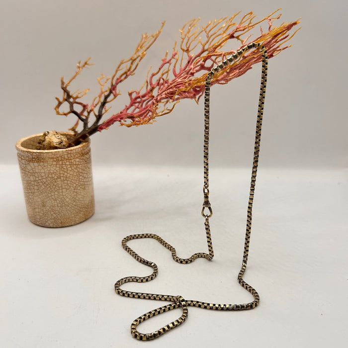 Victorian Box Link Guard Chain Necklace