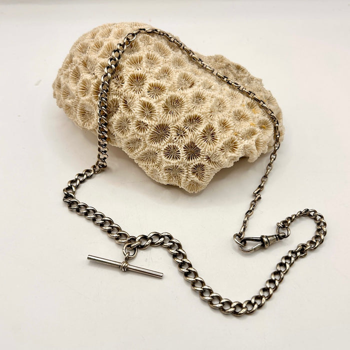 Victorian Silver Curb and Oval Belcher Chain Necklace