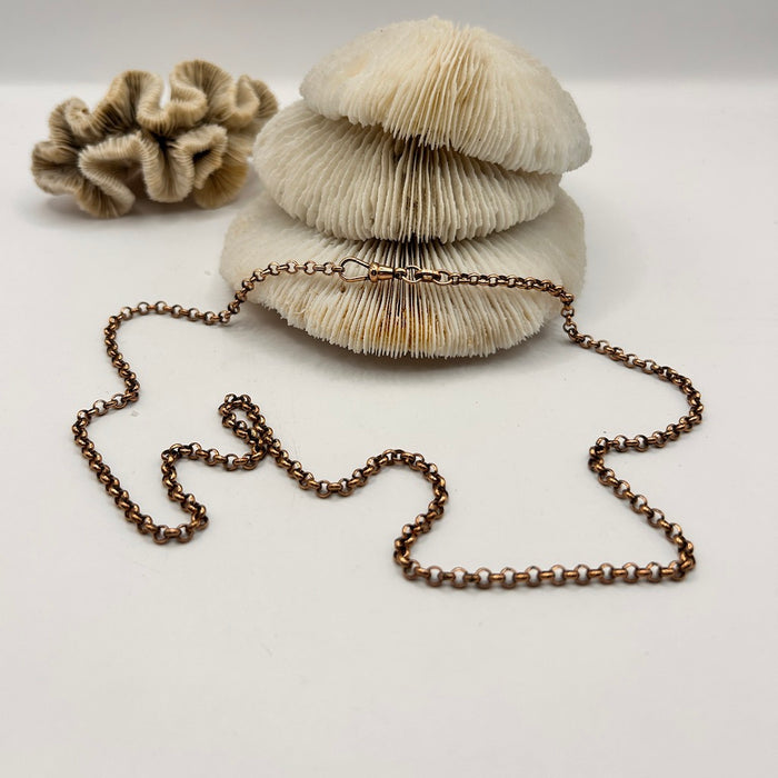 Victorian Guard Chain Necklace