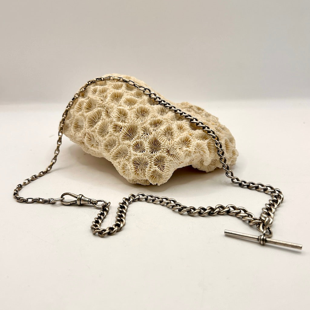 Victorian Silver Curb and Oval Belcher Chain Necklace