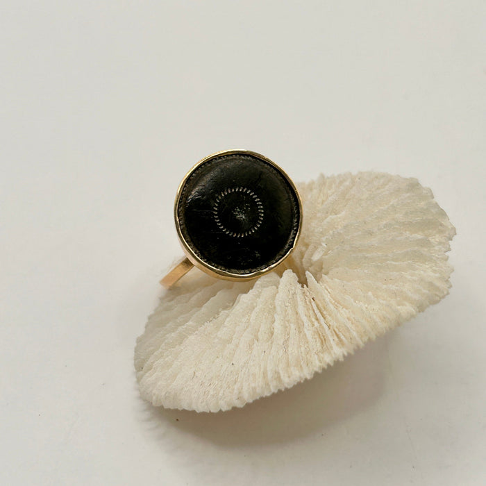 Gold and Antique Bronze Ring