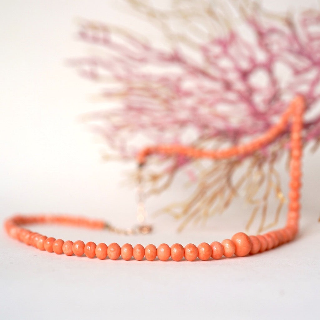 Angel skin Coral bead necklace. Badgers Velvet