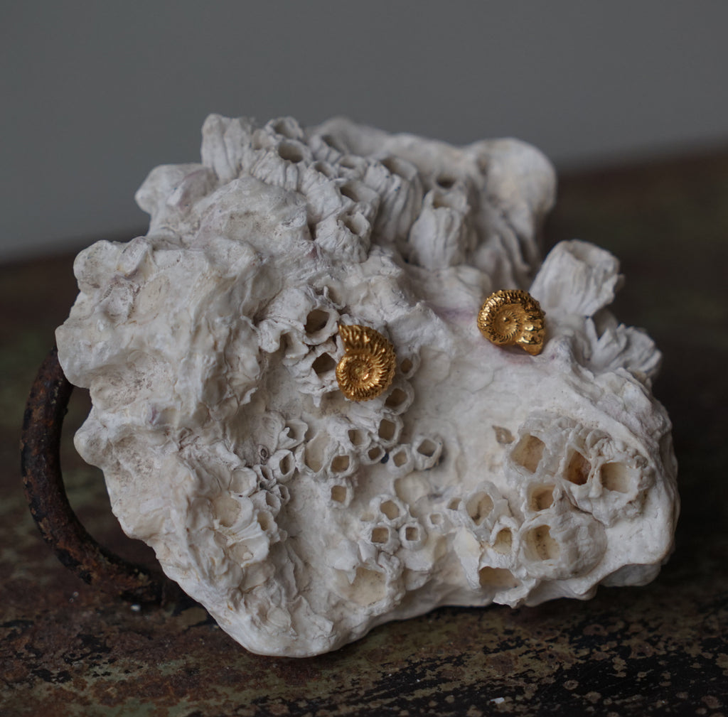 Gold ammonite earrings, handmade earrings, unique