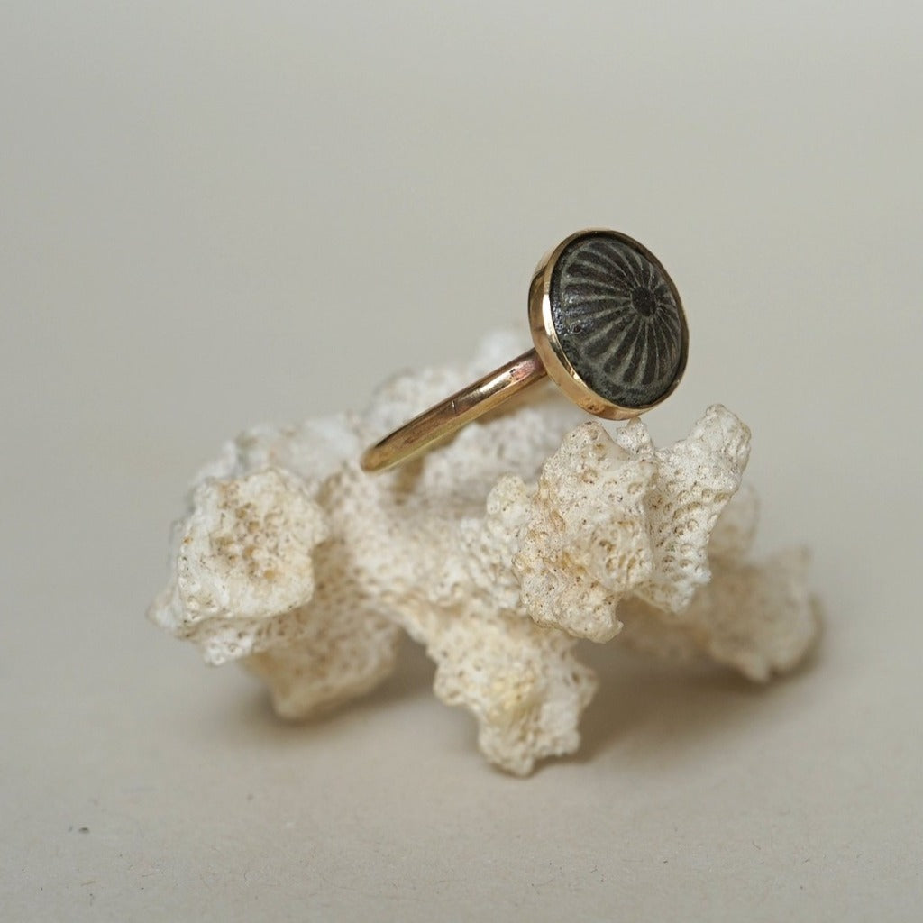 Gold and Bronze Sun Dome Ring Badgers Velvet